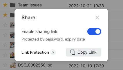 Share files via secure links