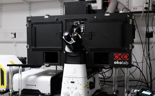 Cambridge University