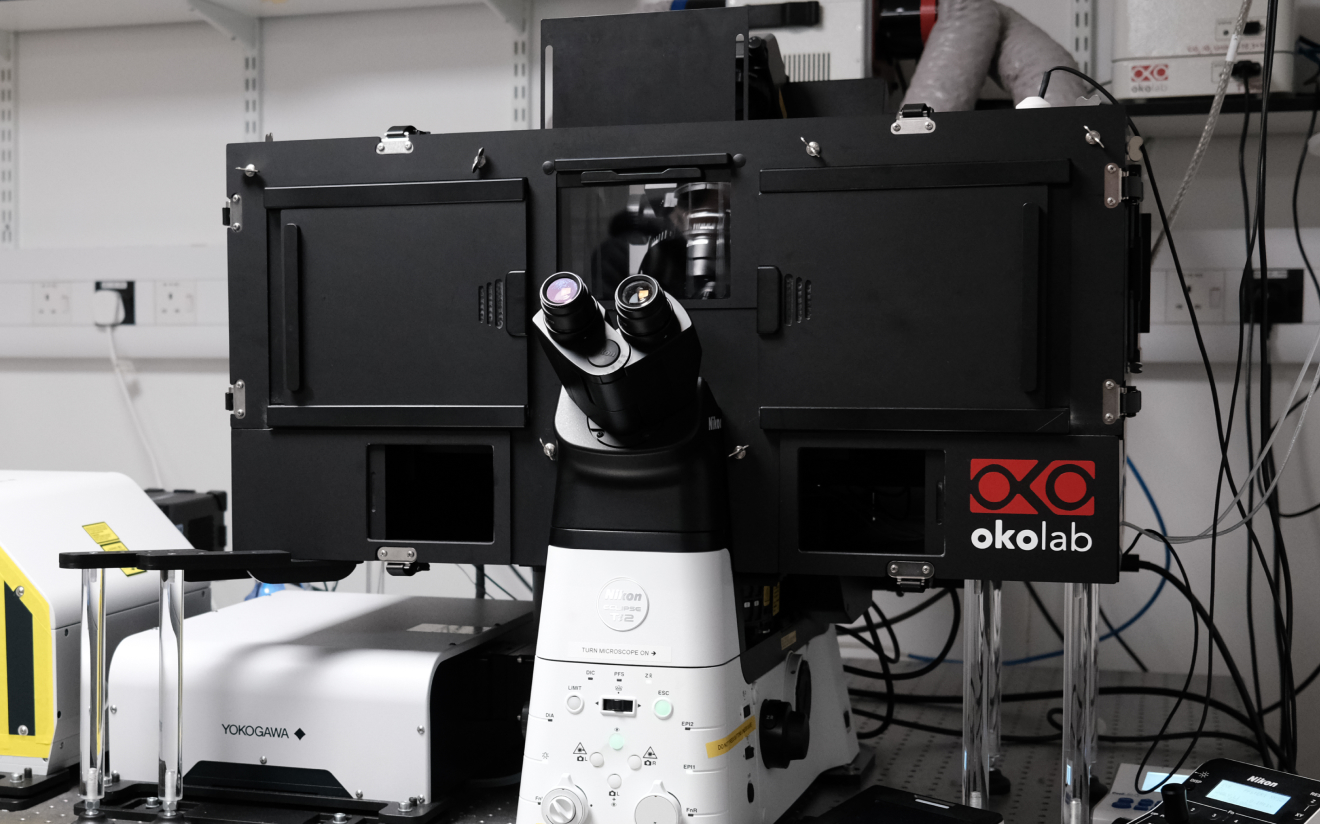 Cambridge University